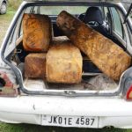 Maruti Car with Illicit timber seized in Ganderbal