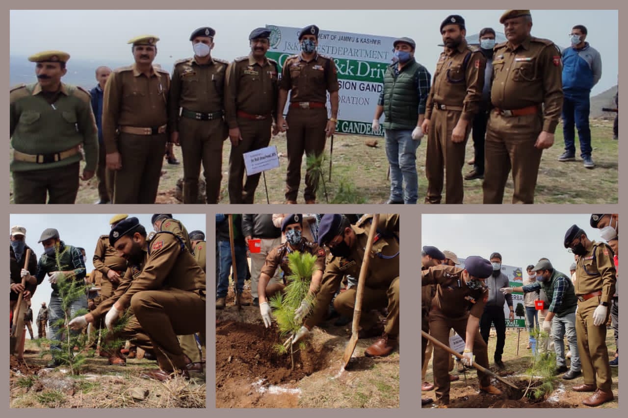SSP Ganderbal launches plantation drive in collaboration with JK forest AT Dignibal