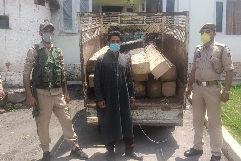 Timber smuggler arrested in budgam; 14 logs of illicit timber and 01 vehicle seized