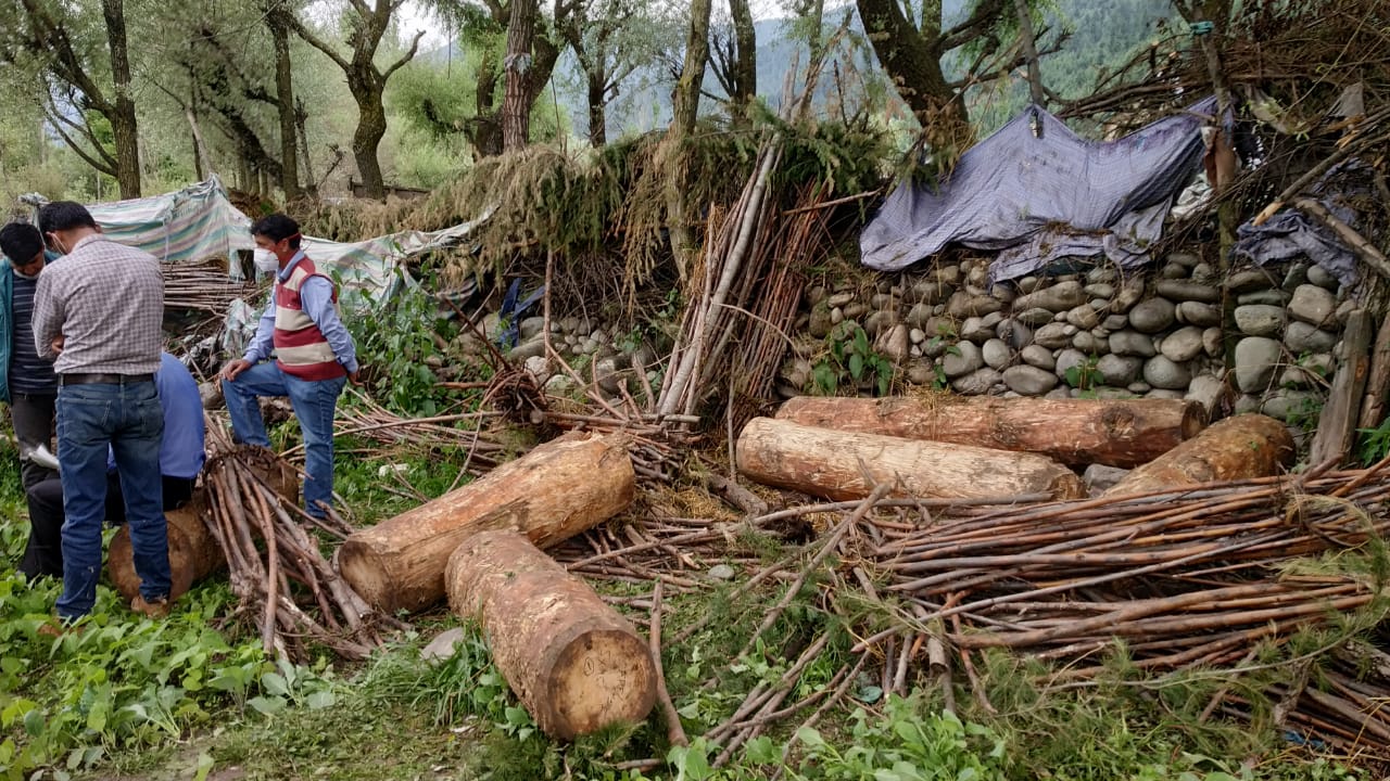 Illegal timber seized in Akhal Kangan