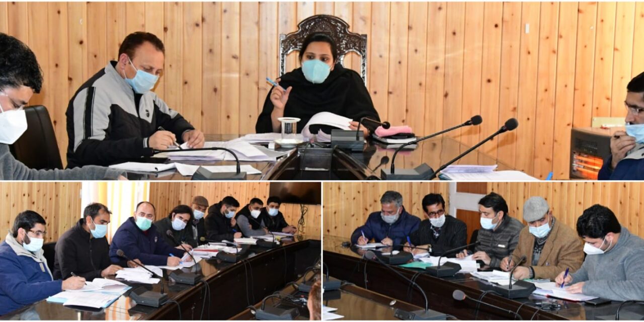 DC Ganderbal reviews functioning of Revenue department