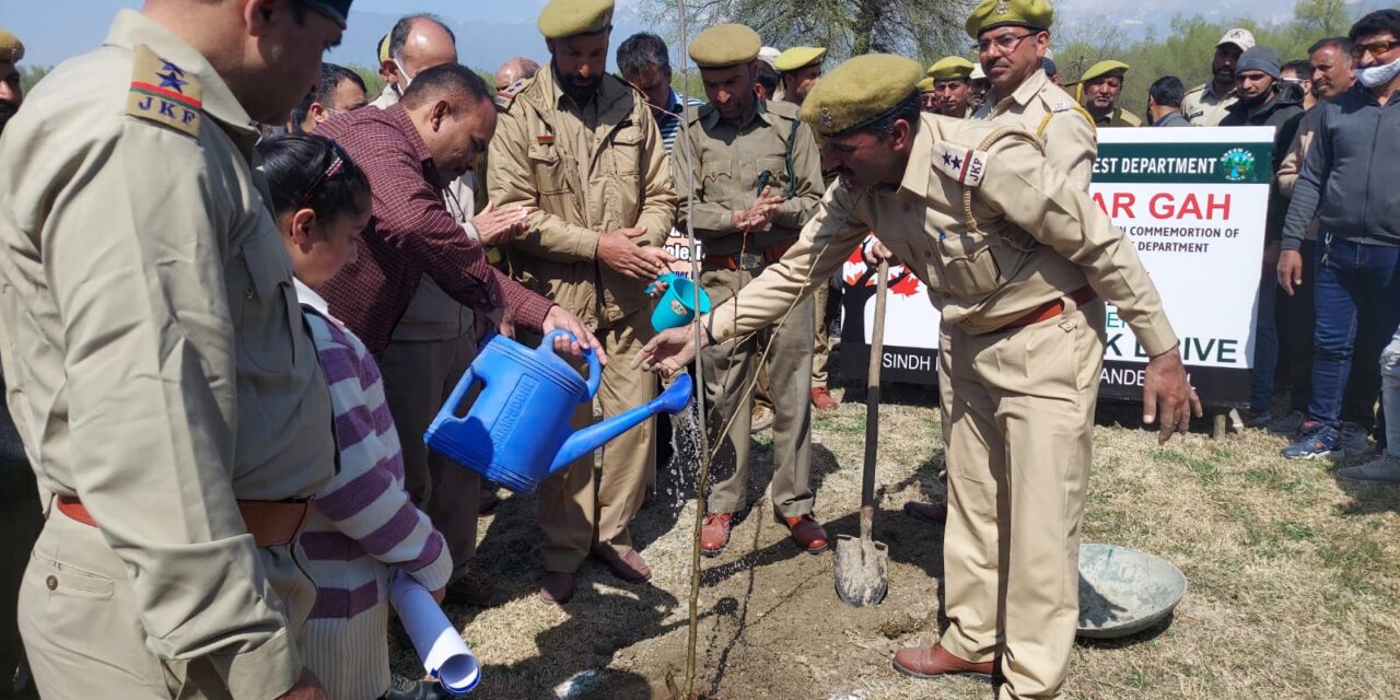 Div Com Kashmir kick starts Chinar Plantation drive under “Green J&K Drive” at Dagpora Nursery in Ganderbal