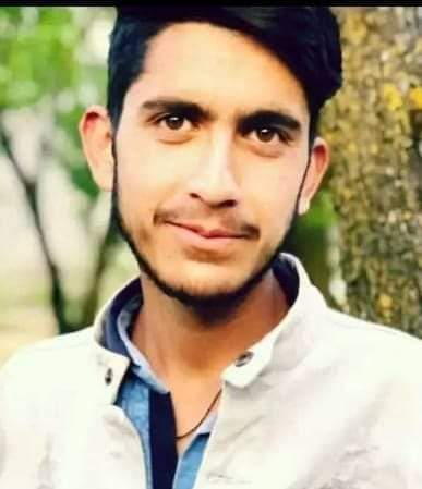 Young apiarist from Kashmir dies of snake bite in Rajasthan