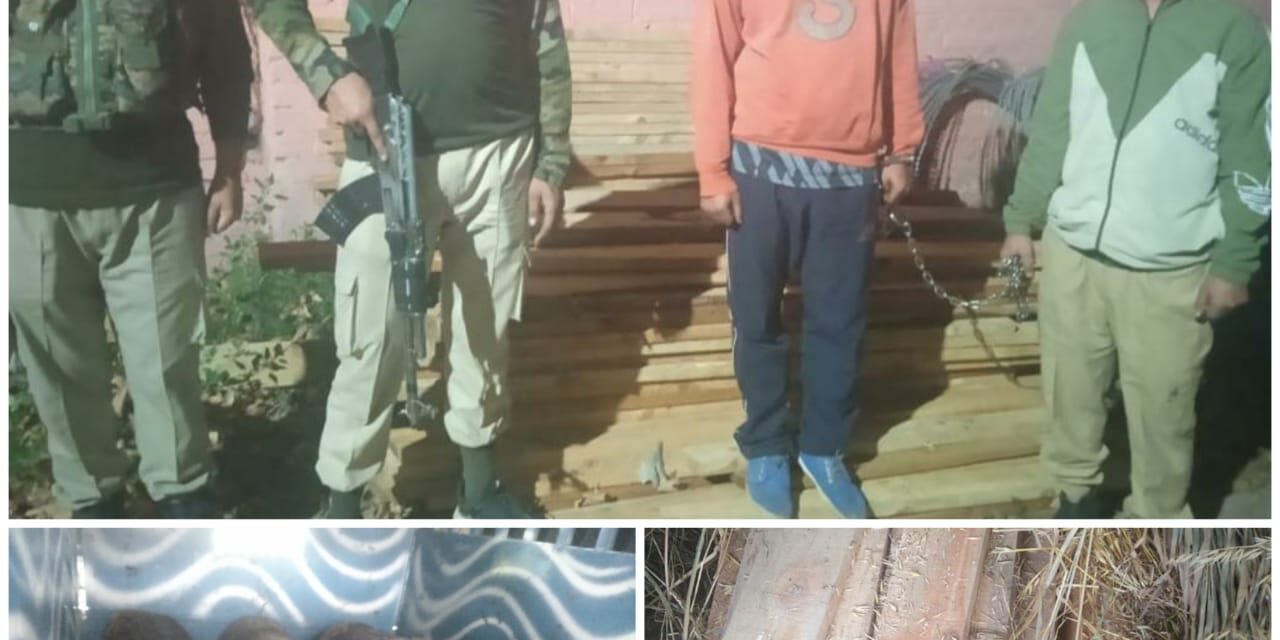 Smuggler arrested; illicit timber seized in Ganderbal: Police