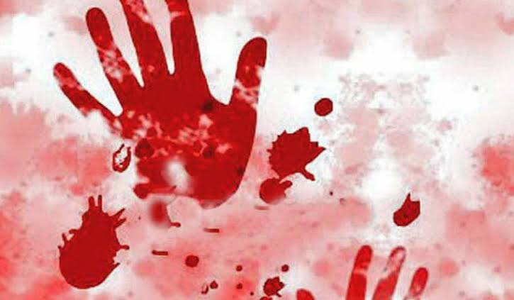 Young Woman Murdered, Chopped Into Pieces in Budgam, Accused Held: Police