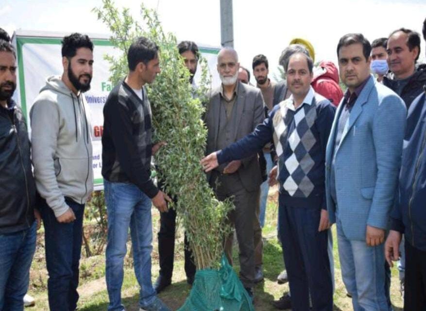 SKUAST Kashmir organized one day stakeholders cum training programme on scientific management of bat willow in Kashmir