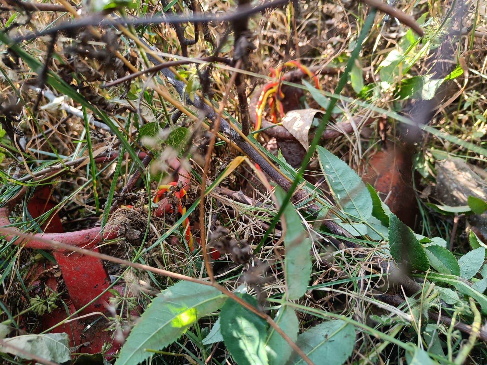 IMG-20231013-WA0012