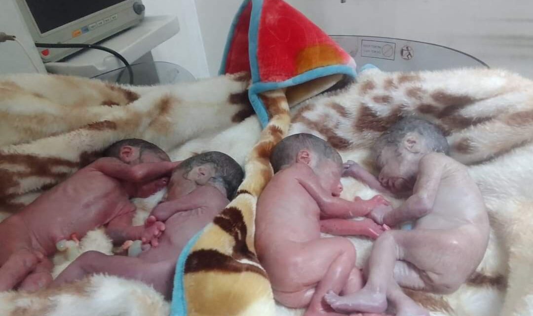 Tragic: Three of the Quadruplets Die, One Referred to Srinagar for Treatment after Kupwara Woman Gives Birth