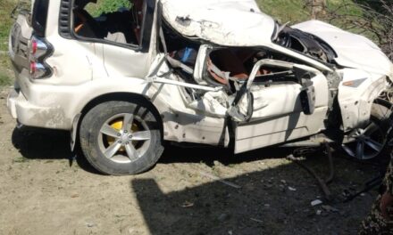 4 Punjab residents dead, 3 critical as vehicle skids off road in Kulgam