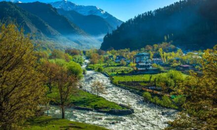 Over 3 lakh tourists visit Pahalgam in last four months;Tourism flow increases with each passing day: Official