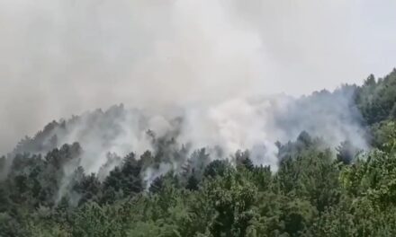 Massive forest fire erupts in Qazigund village