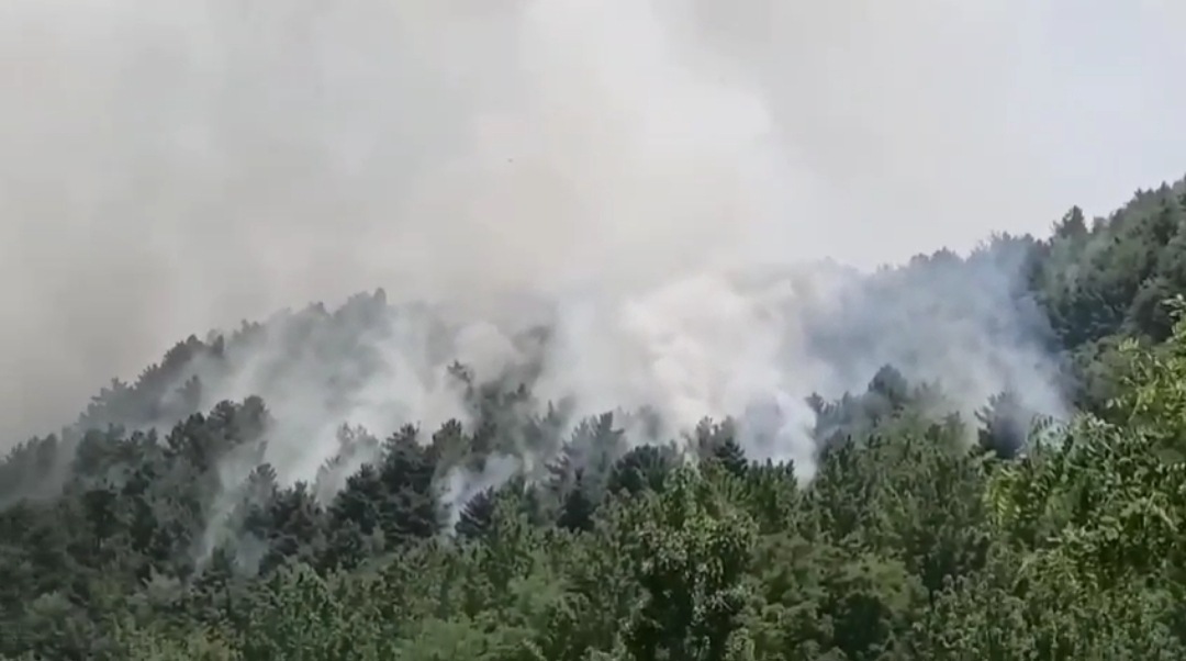 Massive forest fire erupts in Qazigund village