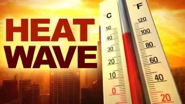 Max may cross 44°C by May end in Jammu: Official