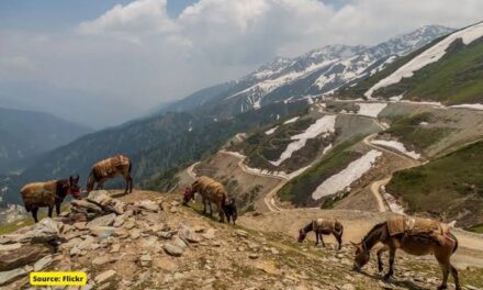 No significant weather activity expected in J&K till May 31: MeT