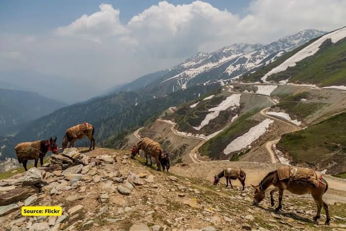 No significant weather activity expected in J&K till May 31: MeT