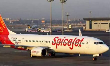 SpiceJet flight to Leh returns to Delhi after engine hit by bird