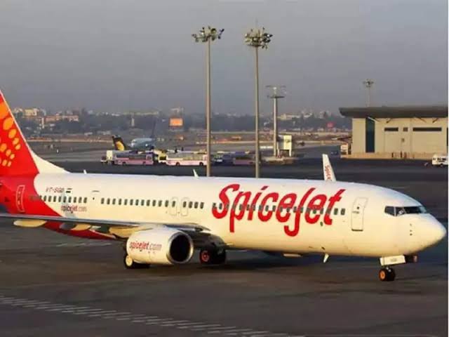 SpiceJet flight to Leh returns to Delhi after engine hit by bird