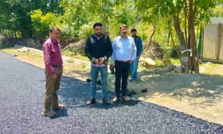 DDC Mudasir Majeed inspects macadamization work on Wussan-Maangam road.