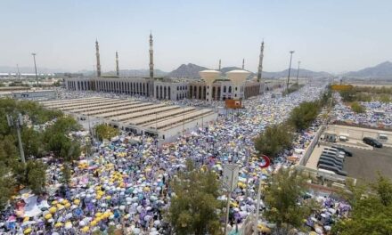 More than a million pilgrims pray on Mount Arafat in Hajj climax