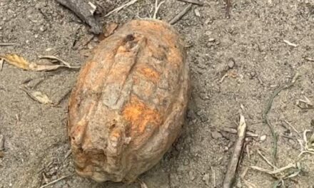 Rusty grenade recovered in Akhnoor