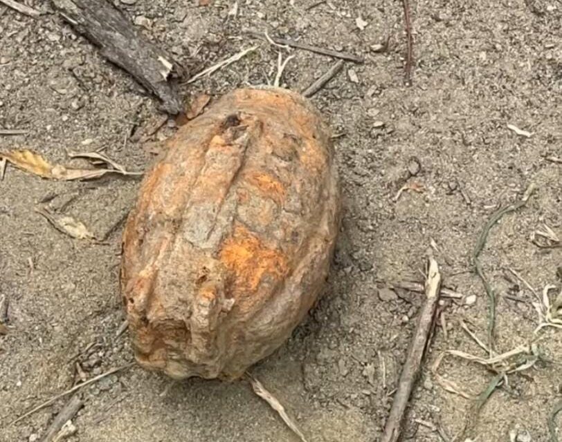 Rusty grenade recovered in Akhnoor