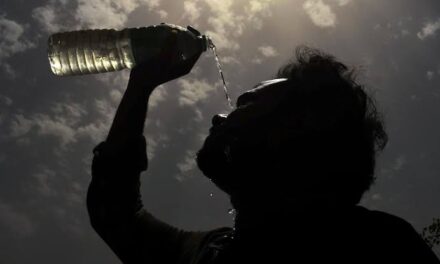 33 poll personnel die due to heat wave in final phase in UP