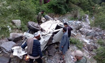 Child among 2 killed, 6 people injured as vehicle falls into gorge on Mughal Road