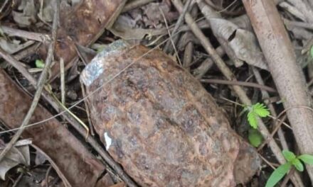 Rusted Old Grenade Found In Janipur Jammu