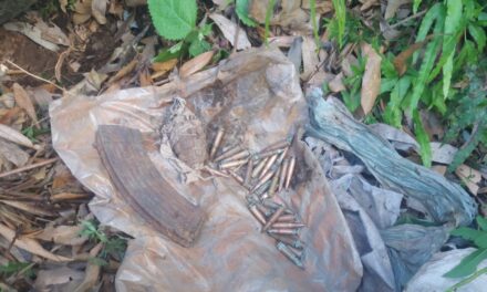 Police recovers 30 bullets, one grenade in Reasi