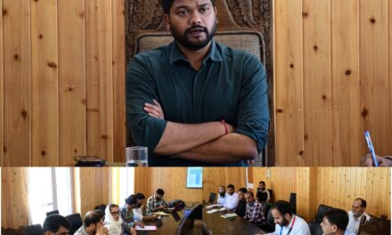 DC G’bl reviews progress of schemes under Mission Youth