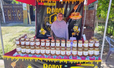 Anantnag woman turns entrepreneur with beekeeping venture, runs several roadside stalls