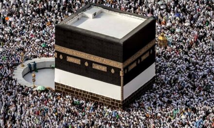 201 Indian pilgrims died during Haj pilgrimage 2024: Govt in LS