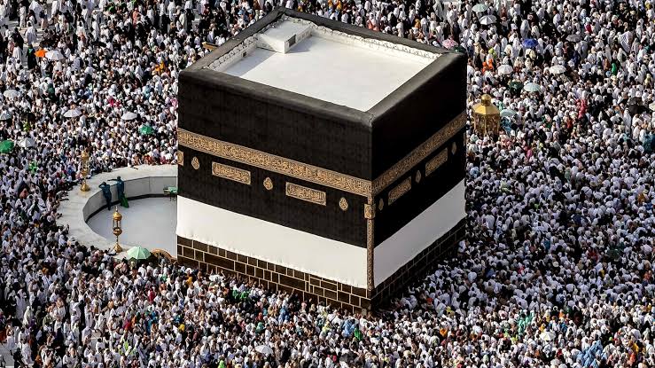 201 Indian pilgrims died during Haj pilgrimage 2024: Govt in LS