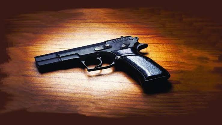 Allegedly Mass Forged Gun Licences Unearthed In Jammu: Police