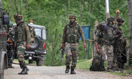 Encounter breaks out in Doda forests