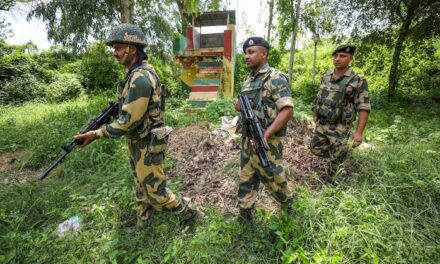 BSF, J-K Police carries out searches in Kathua village over suspicion of cross-border tunnel