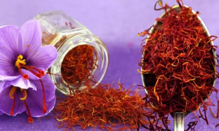 Saffron’s price down by nearly Rs. 8,000 per kilogram in 2 years