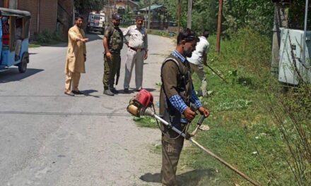 Police carries out bhang destruction drive in Ganderbal, Budgam