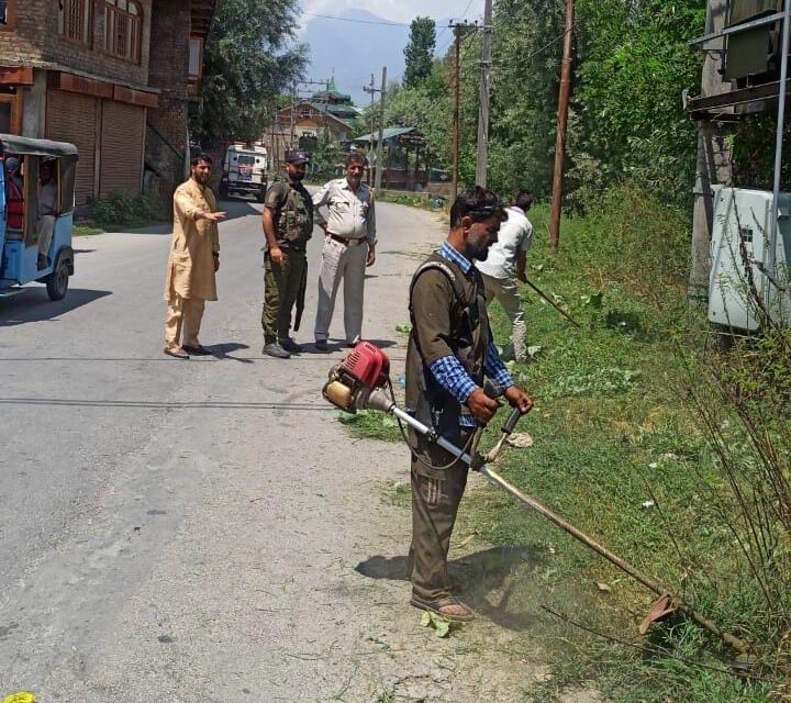 Police carries out bhang destruction drive in Ganderbal, Budgam