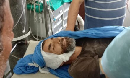 Elderly man dies after branch of tree falls on his head in Bandipora’s Sumbal