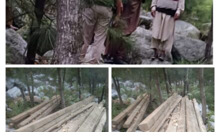 Police recovers Illicit timber in Baramulla, 5 accused arrested