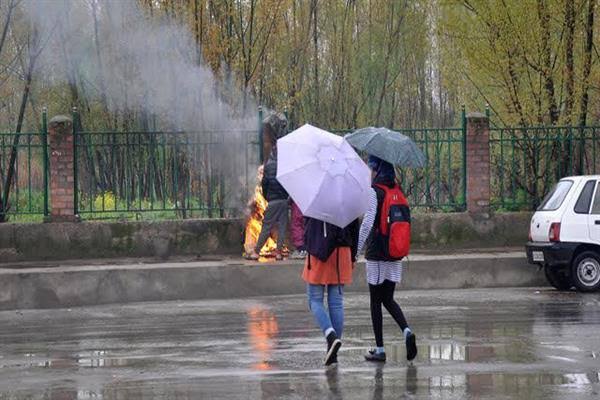 Rain brings relief to farmers as prolonged dry spell ends;Farmers now preparing for high-density apple-picking process