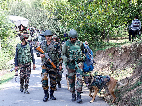 Terrorist Killed in J&K’s Kathua; Operation Underway