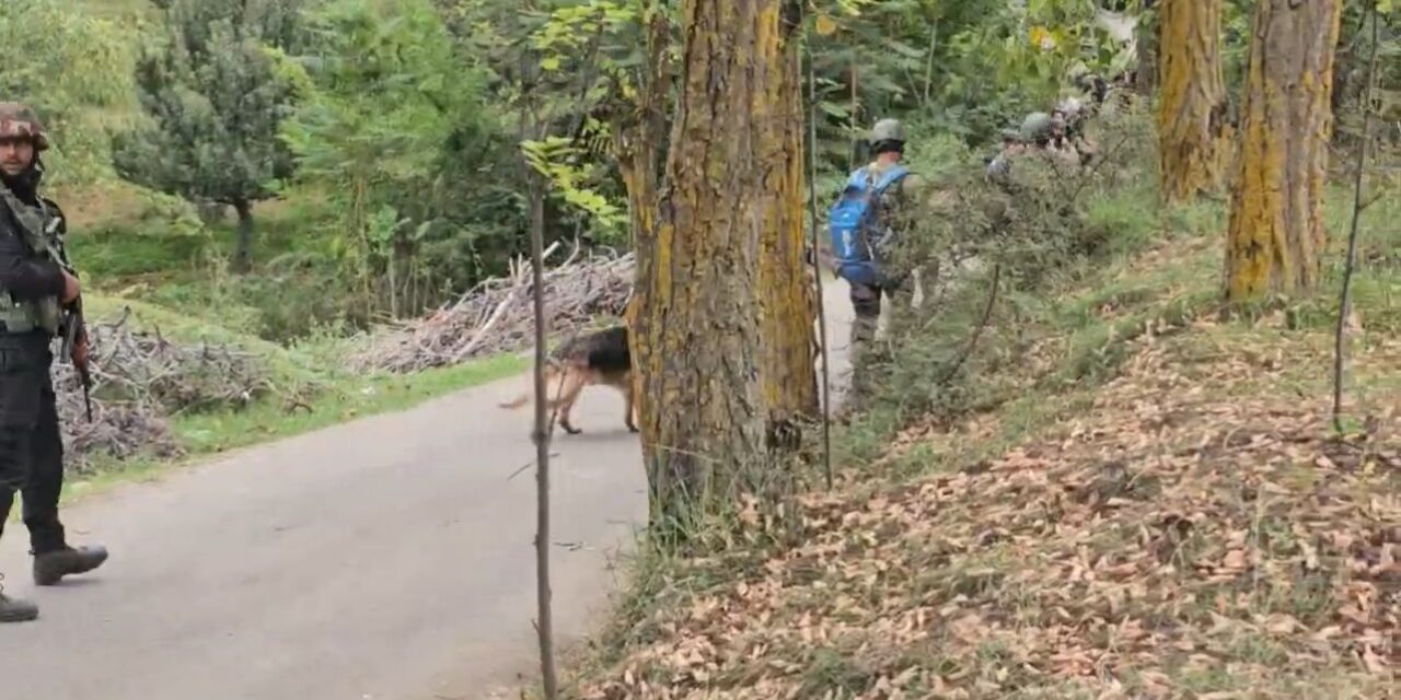 Sniffer dogs pressed into service as search operations continue after three terrorists killed in Baramulla