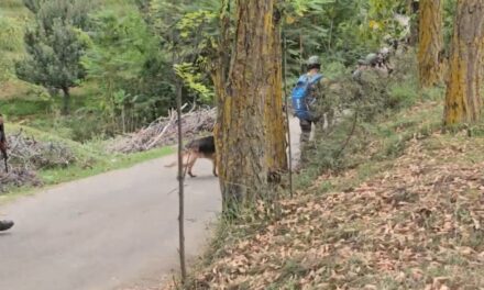 Sniffer dogs pressed into service as search operations continue after three terrorists killed in Baramulla