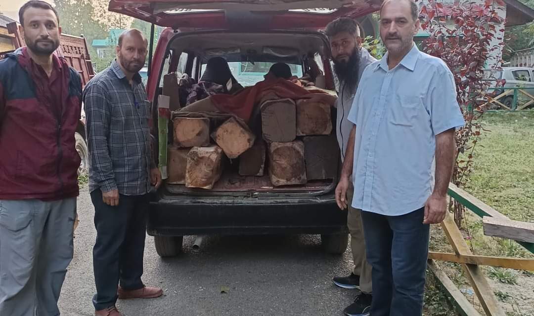 Vehicle with illegal timber seized in Teerina Mawer”