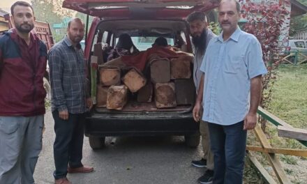 Vehicle with illegal timber seized in Teerina Mawer”