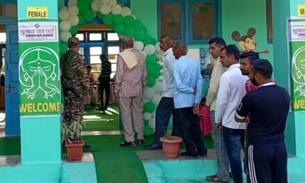 Three Jammu districts brace for voting in the shadow of string of terror attacks