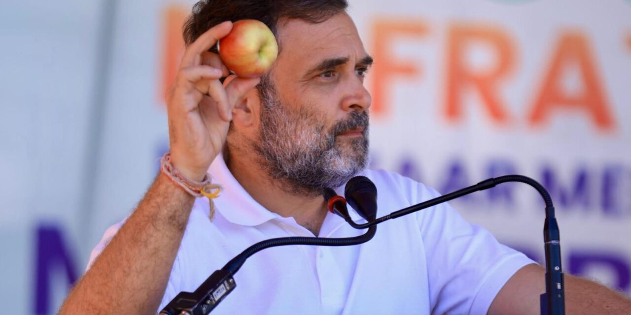 Sopore apple will reach foreign shores: Rahul’s promise to J&K town residents