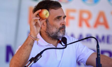 Sopore apple will reach foreign shores: Rahul’s promise to J&K town residents